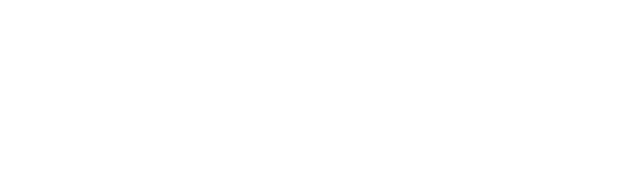 Cerdanyola Centre